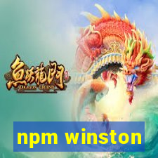 npm winston